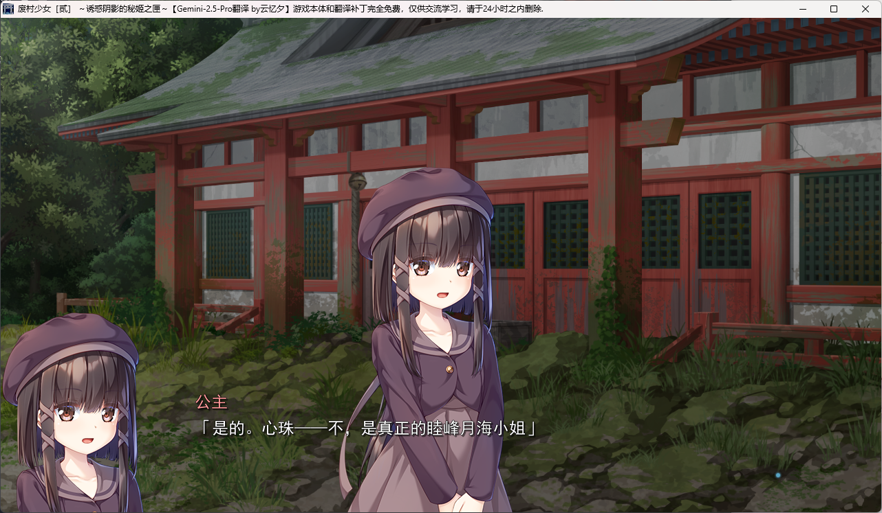 公主“官方”认证心珠就是月海